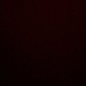 Meet your Posher, Katlyn